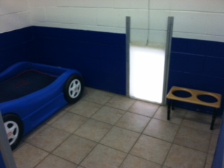 Dominoe Pet Resort Image