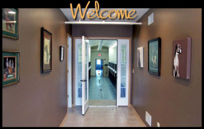 Dominoe Pet Resort Image