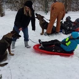 Zuchttechnik K9 Image