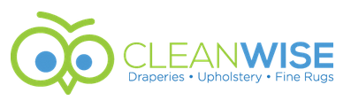 CleanWise Logo