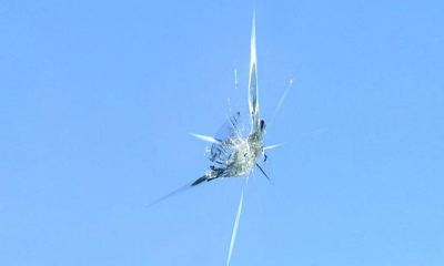 Speedy Fast Auto Glass Logo