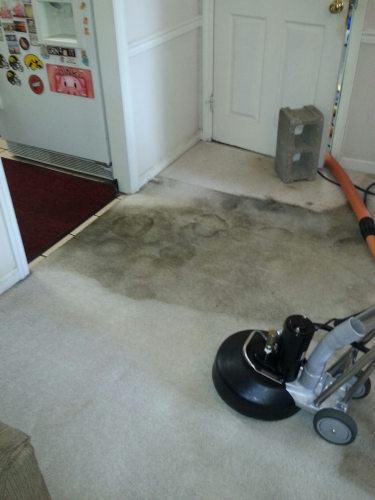 KC's Carpet Cleaning Image