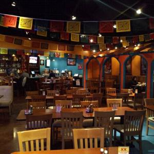 El Loro Mexican Grill Image