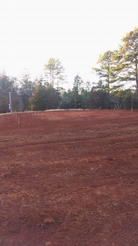 Two Horse Excavation Image