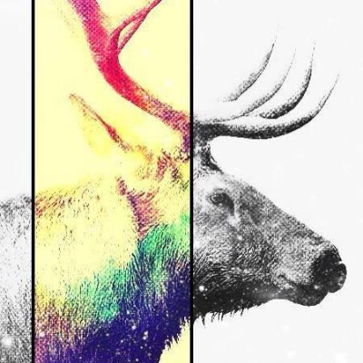 Traverse City Web Design, LLC. Logo