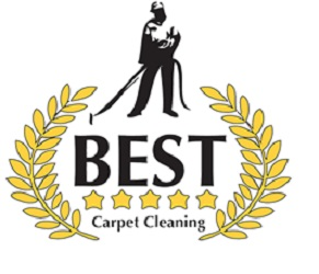 Best Carpet Cleaning Services, LLC Logo