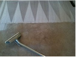 Mobile Carpet Cleaners Logo