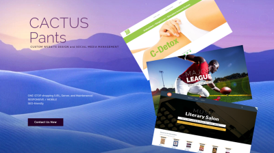 Cactus Pants Web Design Image