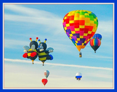 David Productions Photography Logo