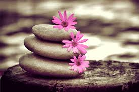 My Pleasure Spa Logo