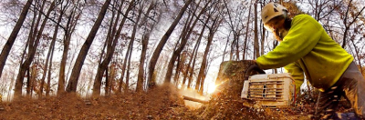 Best Tree Service Memphis Logo