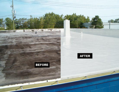 Sunlight Contractors Image