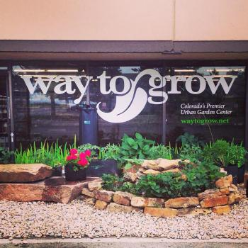 Way to Grow Logo