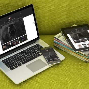 EvoMETA Digital Marketing Agency Image