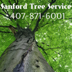 Sanford Tree Service Logo