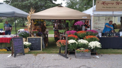 The Old Watering Can Logo
