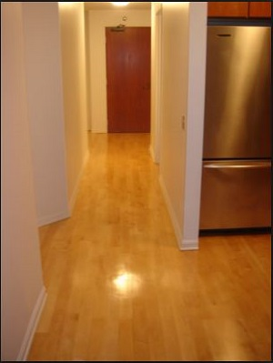 House Cleaning Services of Ann Arbor Logo