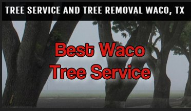 Best Waco Tree Service Logo