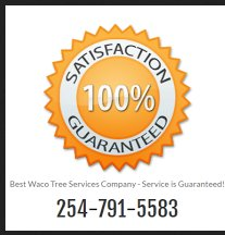 Best Waco Tree Service Image