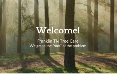 Franklin Tree Care Logo