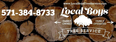 Local Boys Tree Service Image