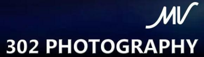 302 Photography Logo