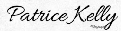 Patrice Kelly Photography Logo