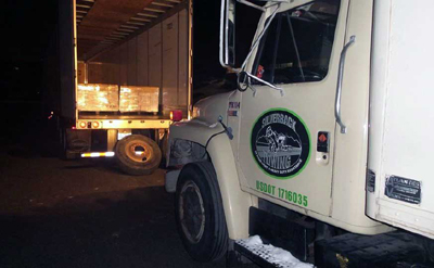 Silverback Services Logo