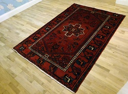 Sandy Carpet Cleaners Logo