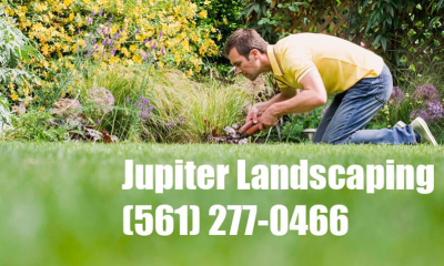 Jupiter Landscaping Logo