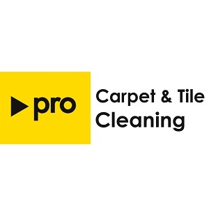 Pro Carpet &amp; Tile Cleaning Logo