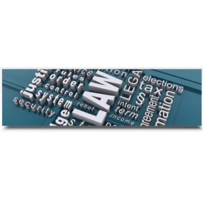 Law Offices Of Eran Regev Esq. Logo