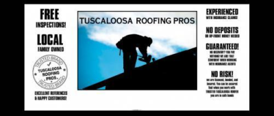 Pinnacle Construction Logo