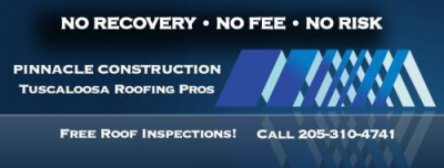 Pinnacle Construction Image