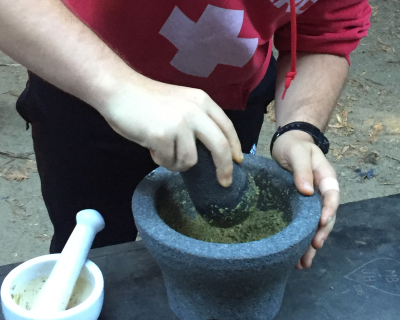 Survival Training School of California - Northern California Headquarters Logo