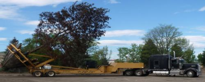 Colorado Tree Spade Inc. Logo