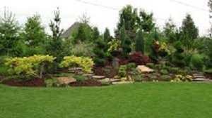 Enliven Planters Logo