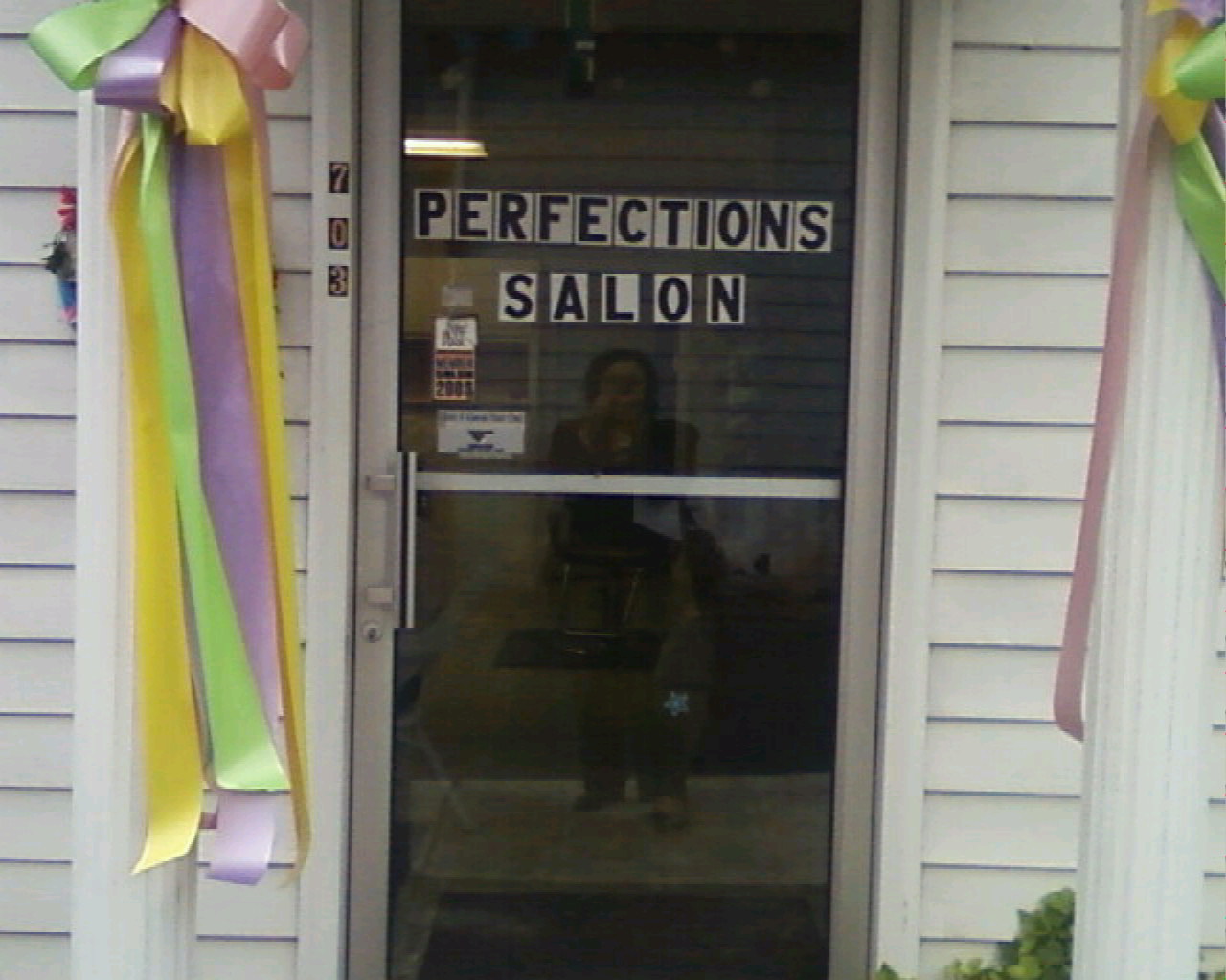 Perfections Salon Logo