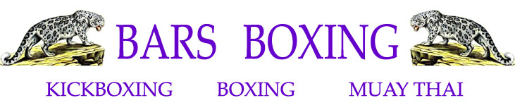 Bars Boxing and Kickboxing Logo