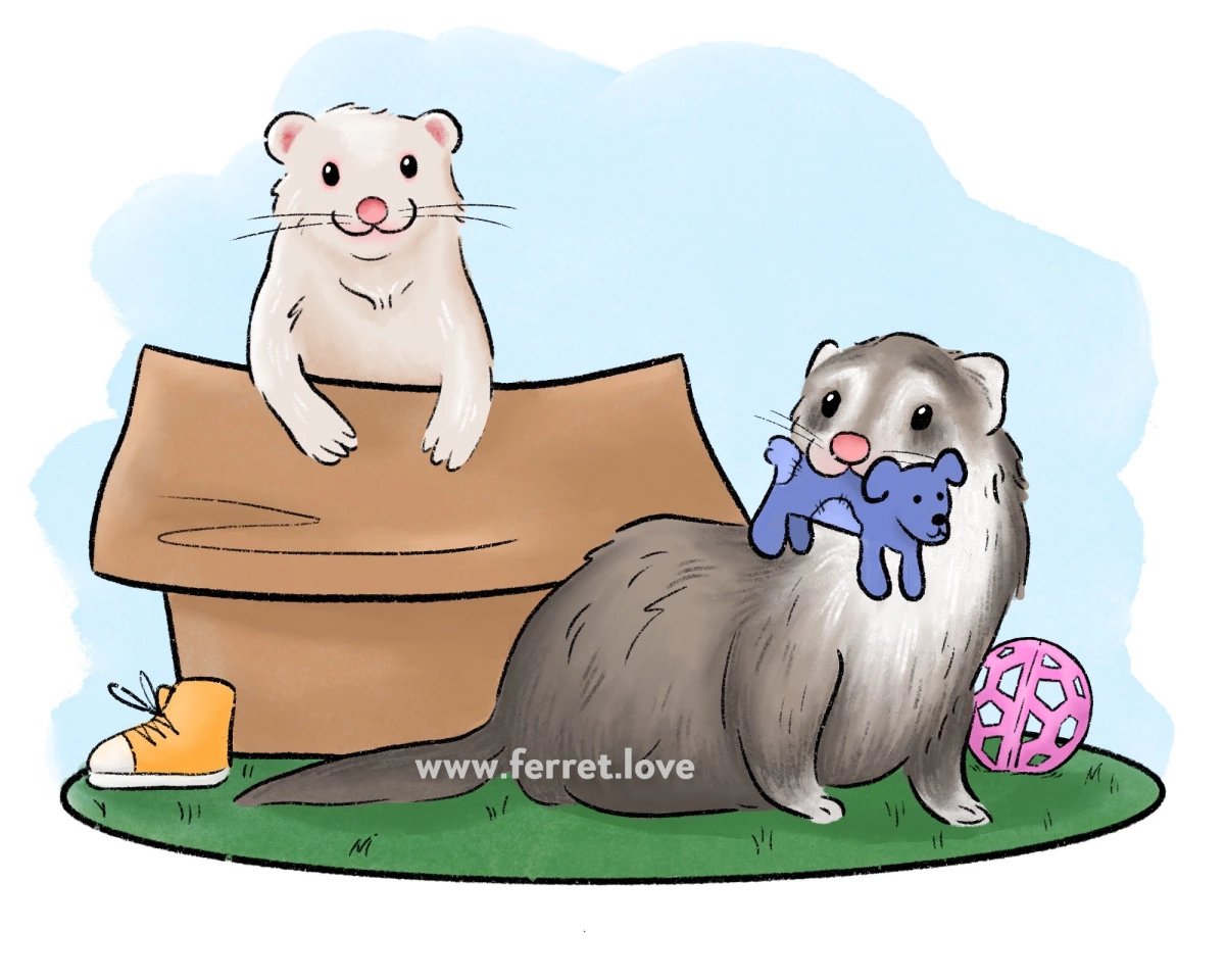 What are good toys for ferrets?