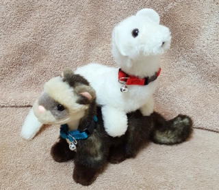 Bell Collar for Ferrets, Rats, Small Animals
