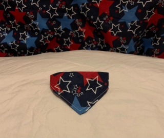 Handmade, 4th of July Ferret Bandana.  Fleece+Adjustable Band. Handmade in the US. Can be used for other small pets, like Kittens, ect.