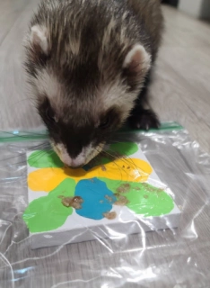Art Piece by August the Ferret - 3x3 Inches