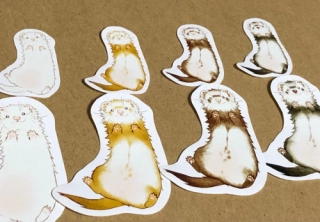 4 colors ferrets sticker