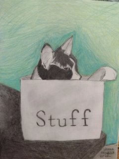 SKETCHBOOK