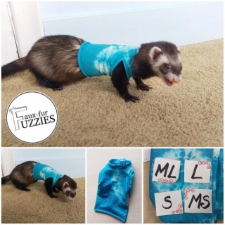 Blue Ferret T-Shirt