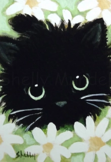 Black Cat Daisies - Cat Art Print - by Shelly Mundel