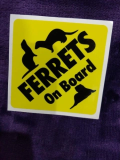 Sticker Vinyl "Ferrets on Board" Window/Locker/Car/Display Pride Square Die-Cut Decal