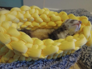 Hand Knitted Ferret Canoe: Chunky Cotton Tube Yarn Pet Bed