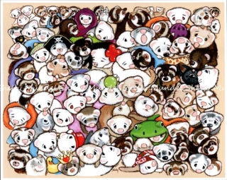 One Hundred Million Ferrets - Ferret Art Print - by Shelly Mundel